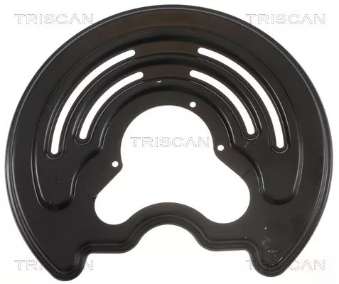 Spatbord, remschijf TRISCAN 8125 25205)