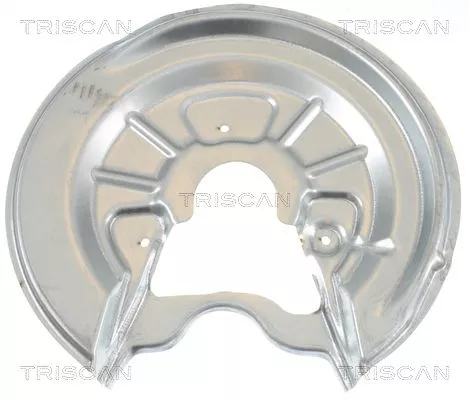 Spatbord, remschijf TRISCAN 8125 29206)