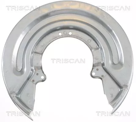 Spatbord, remschijf TRISCAN 8125 29225)