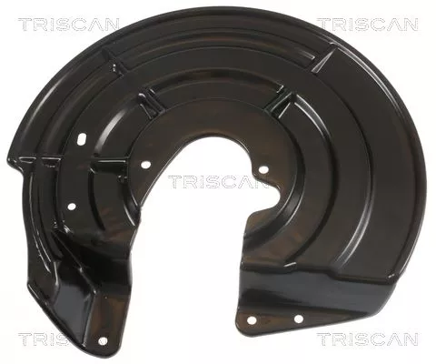 Spatbord, remschijf TRISCAN 8125 38202)