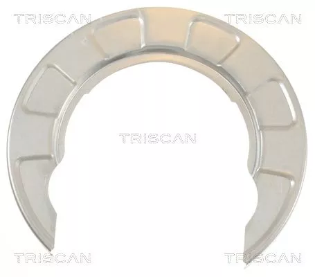 Spatbord, remschijf TRISCAN 8125 43101)