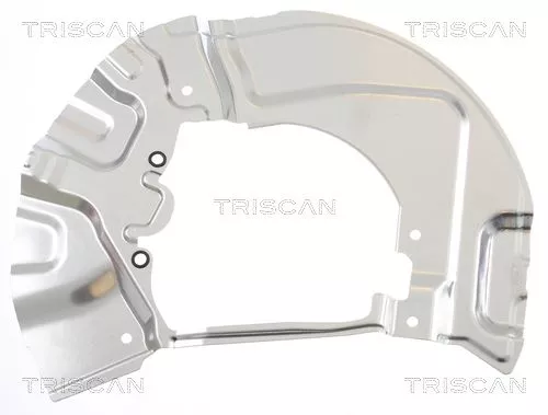 Spatbord, remschijf TRISCAN 8125 11111)