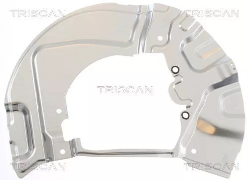 Spatbord, remschijf TRISCAN 8125 11112)