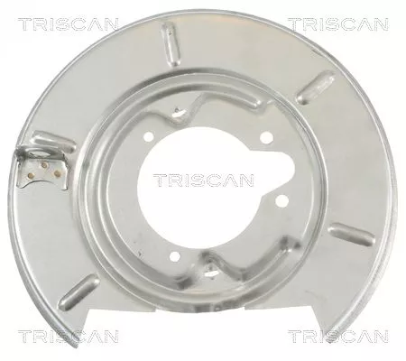 Spatbord, remschijf TRISCAN 8125 11211)