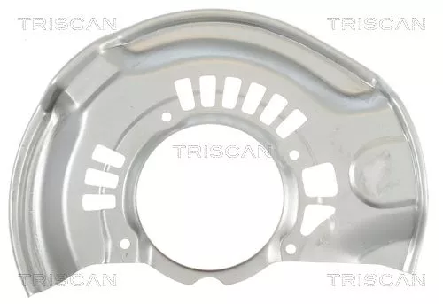Spatbord, remschijf TRISCAN 8125 13119)