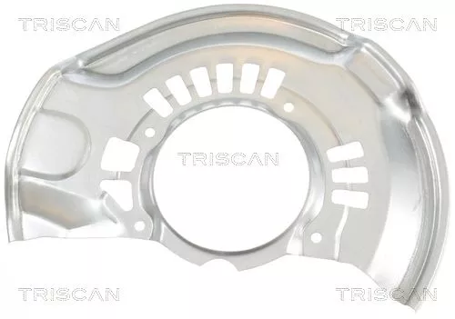 Spatbord, remschijf TRISCAN 8125 13120)