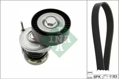 V-ribbed Belt Set Schaeffler INA 529 0466 10)