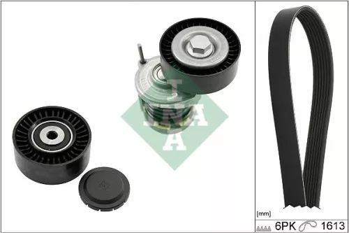 V-ribbed Belt Set Schaeffler INA 529 0467 10)