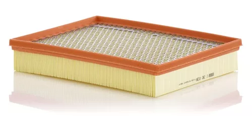 Luchtfilter MANN-FILTER C 30 039)