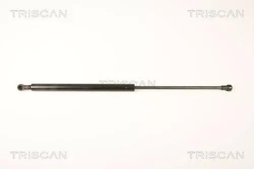 Gasveer, kofferbak/laadruimte TRISCAN 8710 25245)