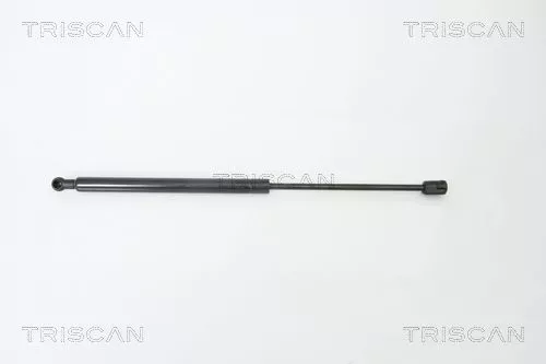 Gasveer, kofferbak/laadruimte TRISCAN 8710 29268)