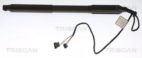 Gasveer, kofferbak/laadruimte TRISCAN 8710 11303)