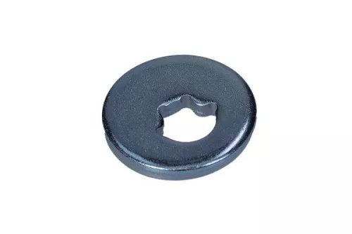 Caster vulplaatje, asbalk MAXGEAR 49-5362)