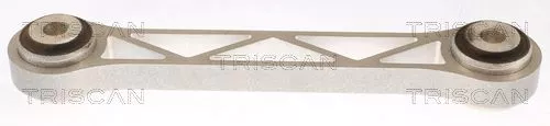 Draagarm/achterwielophanging TRISCAN 8500 81521)