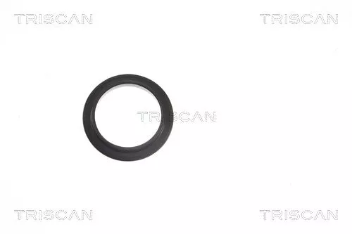 Rollager, steun voor veerpootophanging TRISCAN 8500 13924)
