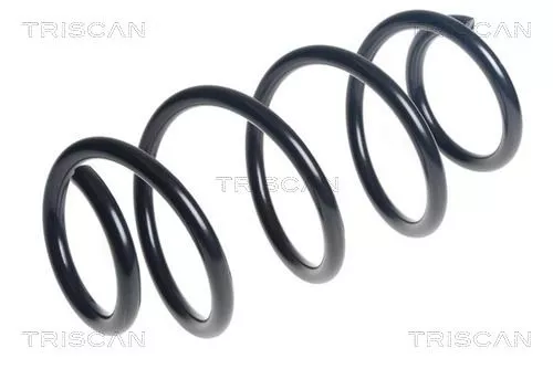 Veerophanging TRISCAN 8750 28309)