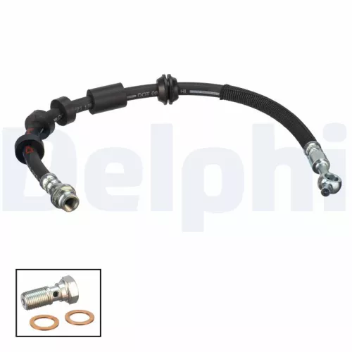 Remslang DELPHI LH7699)