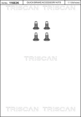 Schroevenset, remschijf TRISCAN 8105 116004)