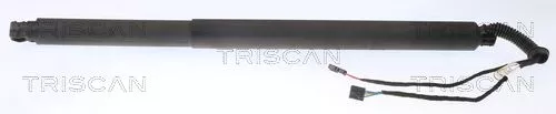 Gasveer, kofferbak/laadruimte TRISCAN 8710 29311)