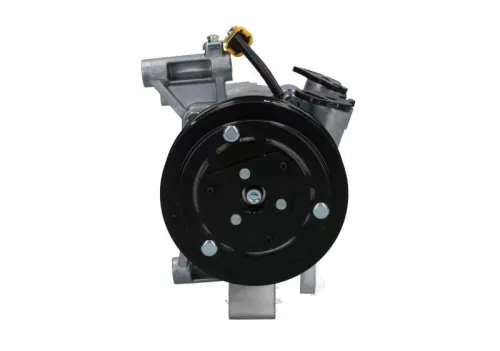 Compressor, airconditioning BV PSH 090.225.048.000)