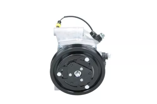 Compressor, airconditioning BV PSH 090.555.158.200)