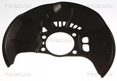 Spatbord, remschijf TRISCAN 8125 13128)