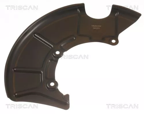 Spatbord, remschijf TRISCAN 8125 29157)