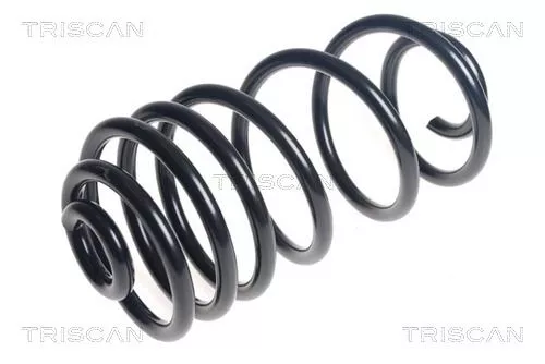 Veerophanging TRISCAN 8750 28313)