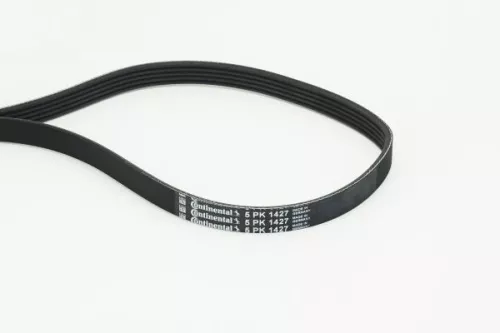 V-vormige riem CONTINENTAL CTAM 5PK1427)