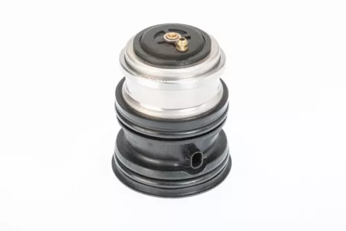 Thermostaat, koelvloeistof BorgWarner (Wahler) 410448.107D)