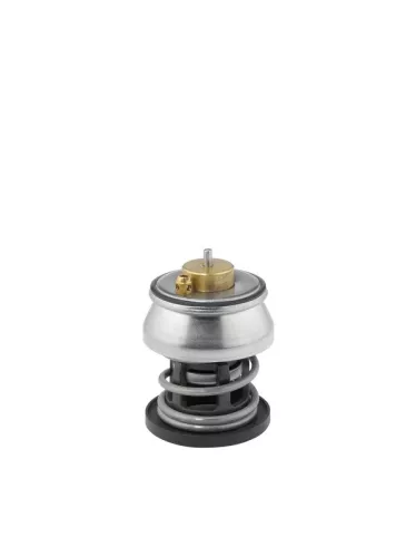 Thermostaat, koelvloeistof BorgWarner (Wahler) 412253.88D)