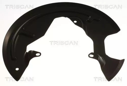Spatbord, remschijf TRISCAN 8125 25107)