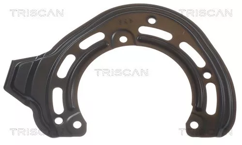 Spatbord, remschijf TRISCAN 8125 24119)