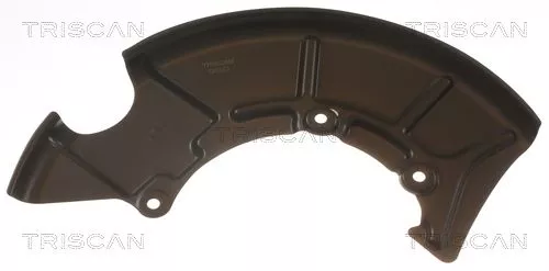 Spatbord, remschijf TRISCAN 8125 29156)