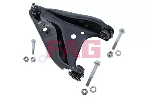 Control/Trailing Arm, wheel suspension Schaeffler FAG 821 1058 10)