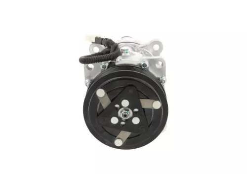 Compressor, air conditioning BV PSH 090.225.015.876)
