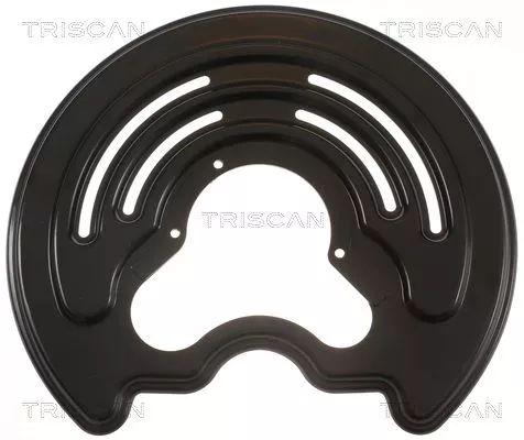 Spatbord, remschijf TRISCAN 8125 25206)