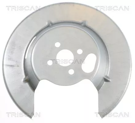Spatbord, remschijf TRISCAN 8125 25208)