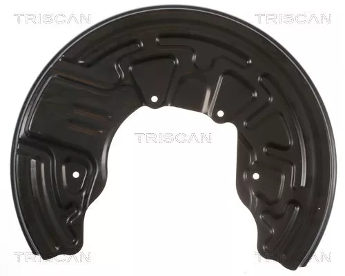 Spatbord, remschijf TRISCAN 8125 29124)