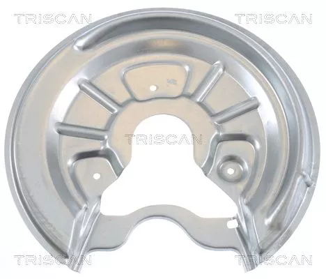 Spatbord, remschijf TRISCAN 8125 29203)