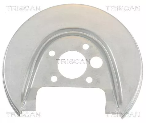 Spatbord, remschijf TRISCAN 8125 29210)