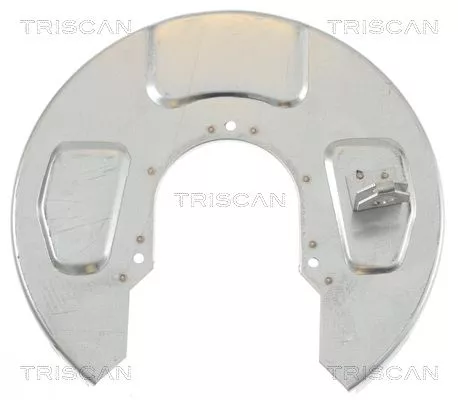 Spatbord, remschijf TRISCAN 8125 29242)