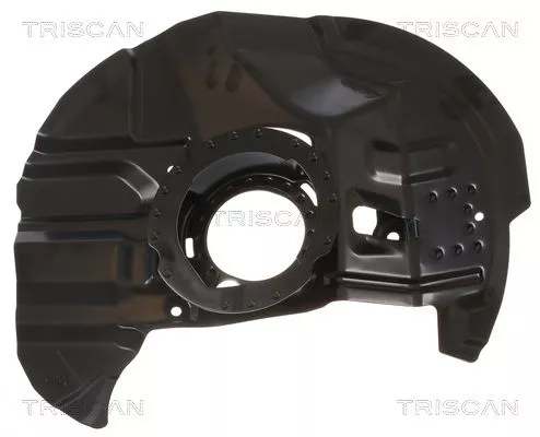 Spatbord, remschijf TRISCAN 8125 11125)