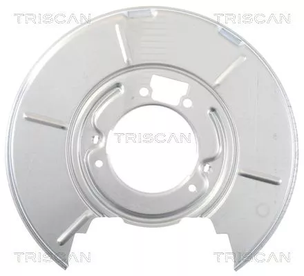 Spatbord, remschijf TRISCAN 8125 11207)