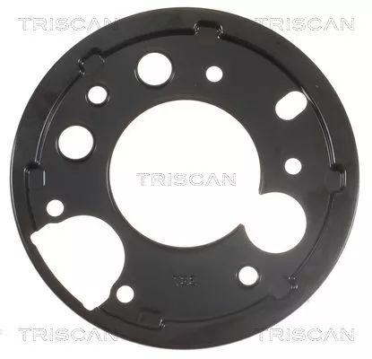 Spatbord, remschijf TRISCAN 8125 23212)