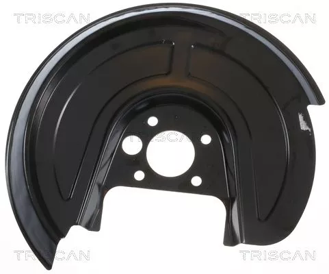 Spatbord, remschijf TRISCAN 8125 29212)