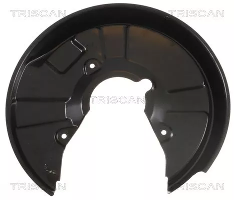 Spatbord, remschijf TRISCAN 8125 29232)