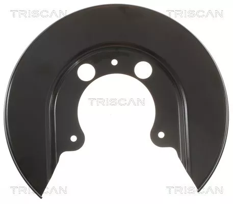 Spatbord, remschijf TRISCAN 8125 29249)