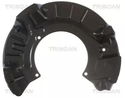 Spatbord, remschijf TRISCAN 8125 11102)