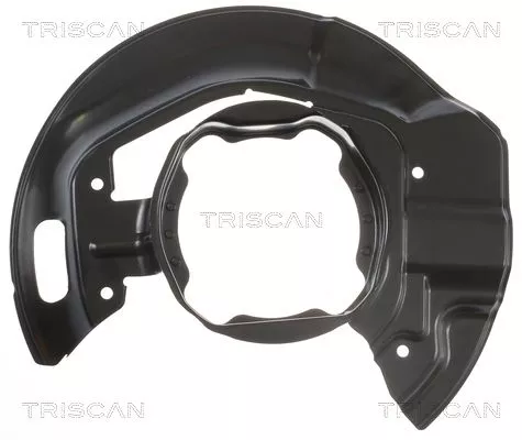 Spatbord, remschijf TRISCAN 8125 11136)